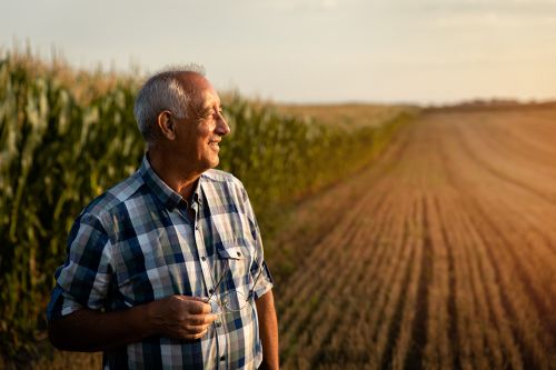 alter Mann auf Feld