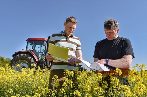 Junger und älterer Landwirt stehen in einem Feld und besprechen Dokumente